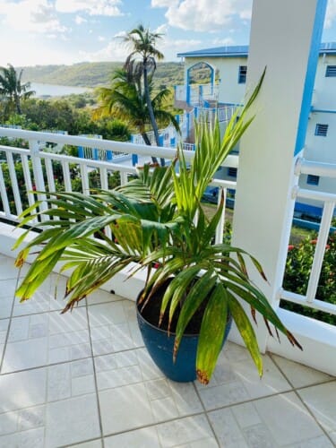 Anguilla Car Rentals