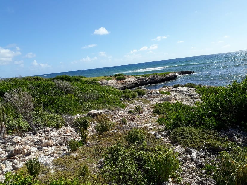 Anguilla homes for sale
